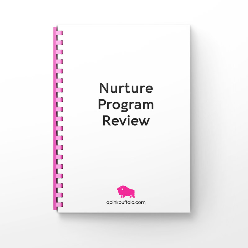 Nurture Program Review